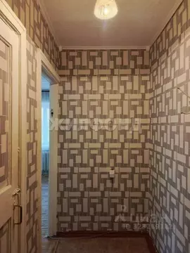 1-к кв. Новосибирская область, Новосибирск Ветлужская ул., 13 (30.1 м)