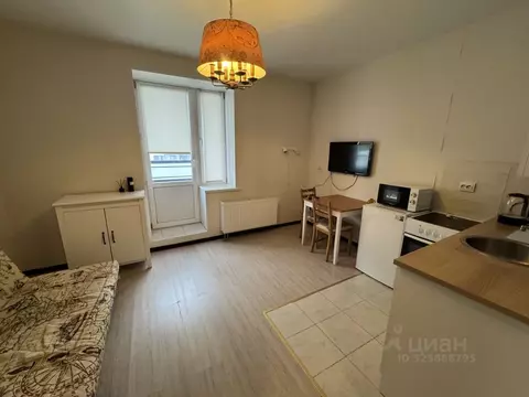 Студия Московская область, Балашиха ул. Безымянная, 2 (25.0 м)