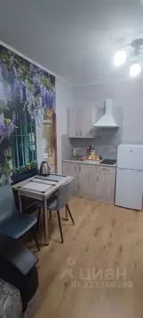 Студия Санкт-Петербург пос. Парголово, проезд Толубеевский, 8к2 (22.1 ...