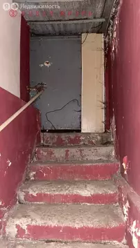 Помещение свободного назначения (240 м)