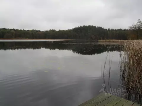 Участок в Ленинградская область, Приозерский район, Плодовское с/пос, ...