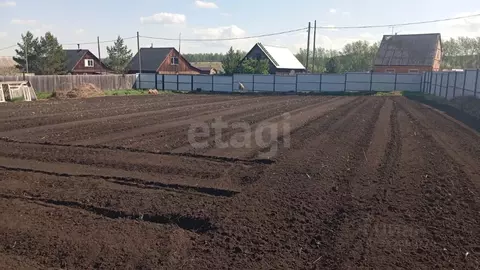 Участок в Красноярский край, Емельяновский муниципальный округ, д. ...