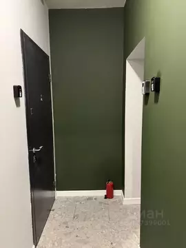 Студия Москва Линейный проезд, 6А (11.8 м)