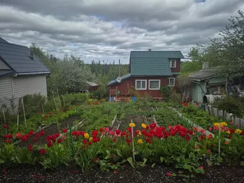 Дом в Ленинградская область, Приозерский район, Сосновское с/пос, ...