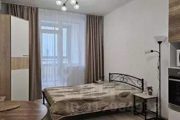 1-к кв. Свердловская область, Екатеринбург пер. Мельковский, 4 (29.0 ...