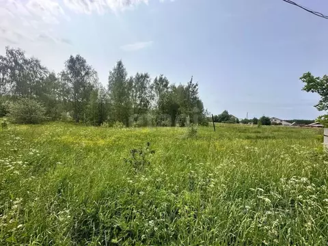 Участок в Владимирская область, Петушинский район, д. Пекша ул. ...