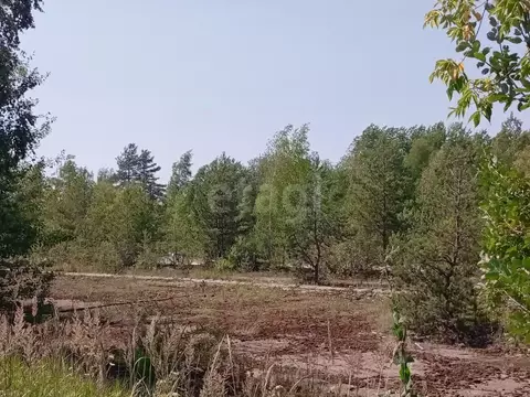 Склад в Калужская область, Дзержинский район, Жилетово с/пос, д. ...