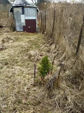 Участок в Калужская область, Малоярославецкий муниципальный округ, д. ...