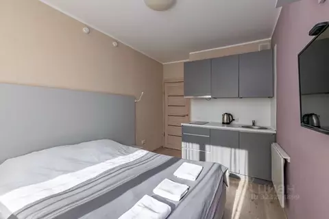 Студия Санкт-Петербург Политехническая ул., 6 (21.3 м)