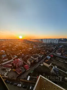 Студия Москва Бартеневская ул., 18к2 (24.0 м)