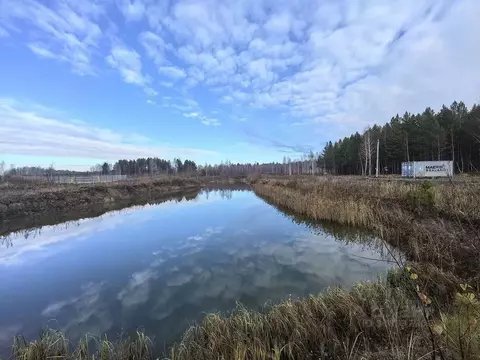 Участок в Тюменская область, Тюмень Березка СНТ, ул. 8-я Садовая, 4 ...