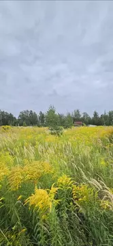 Участок в Брянская область, Брянский район, Мичуринское с/пос, д. ...