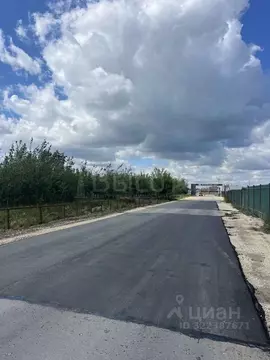 Участок в Воронежская область, Рамонский район, Новоживотинновское ...