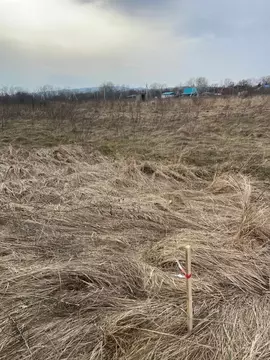 Участок в Краснодарский край, Северский район, Смоленское с/пос, ...