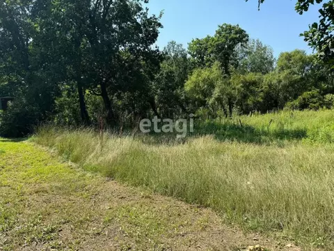 Участок в Амурская область, Благовещенск Энергетик СТ,  (6.0 сот.)
