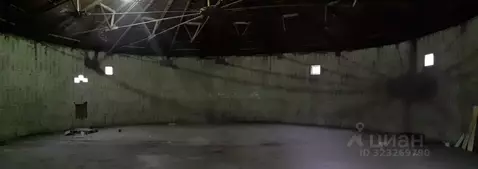 Помещение свободного назначения в Рязанская область, Рязань ул. Щорса, ...