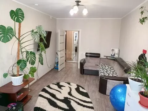 3-к кв. Курская область, Курск ул. Евгения Клевцова, 18 (76.9 м)