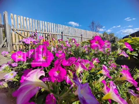 Участок в Свердловская область, Нижний Тагил Цементник КС,  (8.62 ...