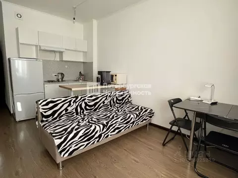 Студия Санкт-Петербург просп. Ветеранов, 169к1 (24.3 м)