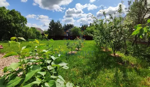 Участок в Москва Полесье СТ, 500 (6.0 сот.)