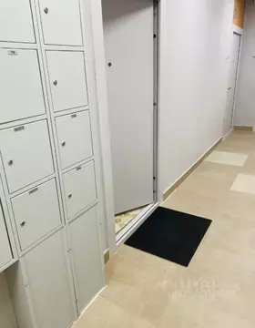 Студия Московская область, Люберцы городской округ, Мирный пгт ул. ...