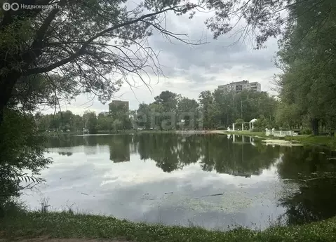 1-комнатная квартира: Раменское, Рабочая улица, 19 (33.1 м)