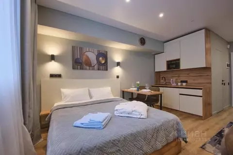 Студия Москва Ленинский просп., 158 (21.0 м)