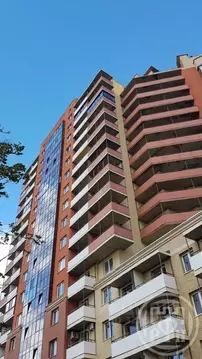 Студия Ленинградская область, Всеволожский район, пос. Бугры ул. ...