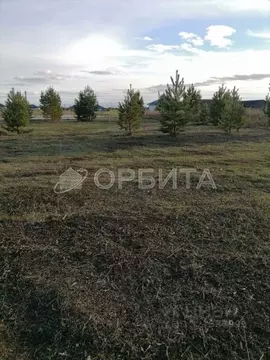 Участок в Тюменская область, Тюменский муниципальный округ, д. Елань ...