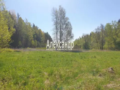 Участок в Ленинградская область, Выборгский район, Советское городское ...