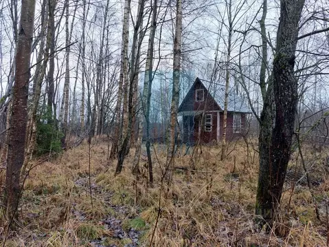 Дом в Москва Тетеринки СНТ, 4 (15 м)