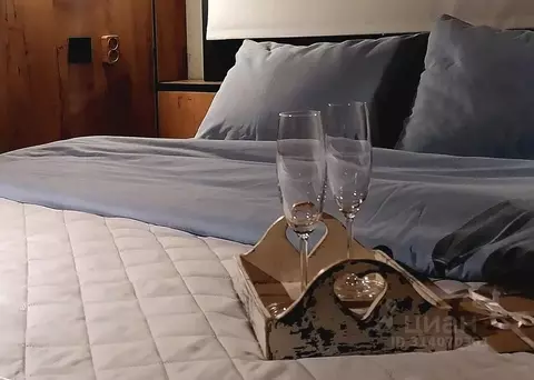 1-к кв. Санкт-Петербург Большой Сампсониевский просп., 74к2 (15.0 м)