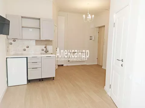 Студия Санкт-Петербург Московский просп., 155 (23.4 м)