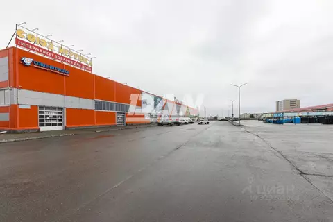 Помещение свободного назначения в Челябинская область, Челябинск ...