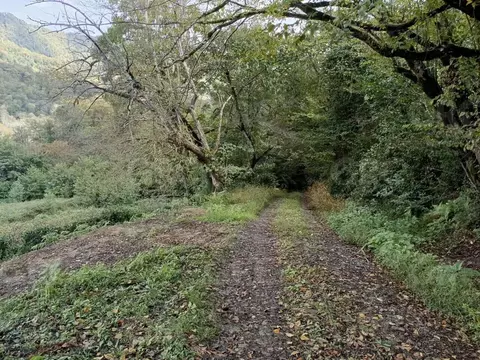 Участок в Краснодарский край, Сочи городской округ, с. Варваровка пер. ...
