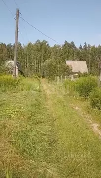 Участок в Брянская область, Брянский район, Нетьинское с/пос, Нетьинка ...