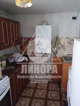 Дом в Омская область, Омск пос. Амурский, ул. 12-я Амурская (53 м)