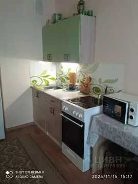 Студия Новосибирская область, Новосибирск ул. Петухова, 101 (21.0 м)