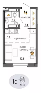 Студия Пермский край, Пермь Ижевская ул., 38 (23.3 м)