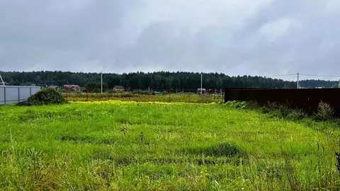 Участок в Московская область, Раменский муниципальный округ, с. ...