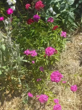 Участок в Крым, Феодосия муниципальный округ, с. Южное ул. ...