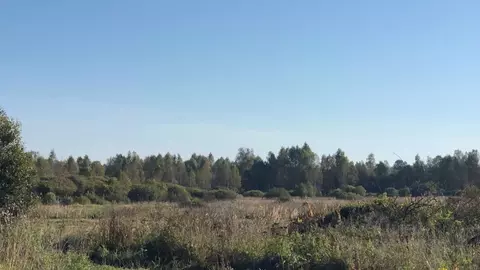 Участок в Московская область, Можайский муниципальный округ, д. ...