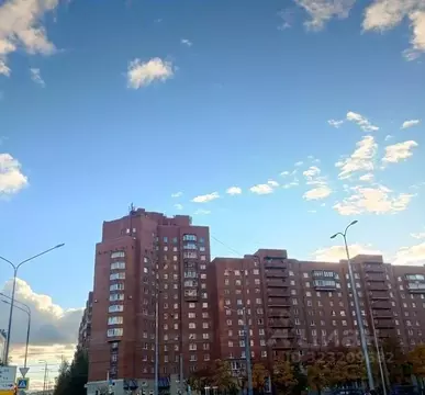 3-к кв. Санкт-Петербург Ленинский просп., 81К1 (87.3 м)