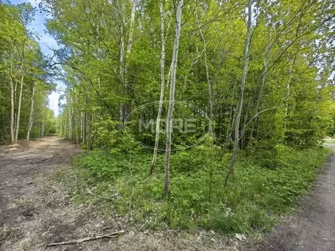 Участок в Калининградская область, Гвардейский муниципальный округ, ...