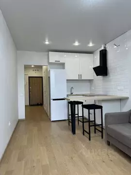 Студия Санкт-Петербург Богатырский просп., 2А (24.0 м)