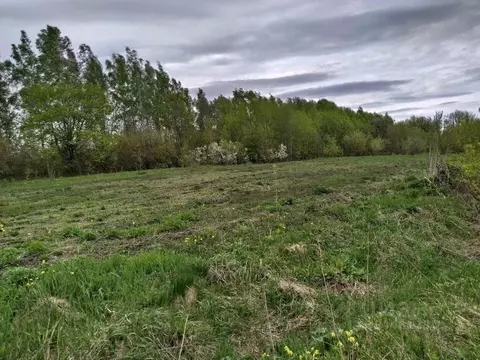 Участок в Рязанская область, Михайловский муниципальный округ, с. ...