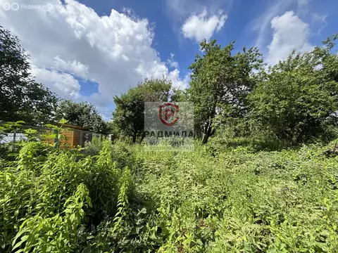 Участок в Сергиев Посад, СНТ Садовод, 99 (6 м)