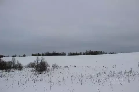 Участок в Московская область, Шаховская муниципальный округ, с. Середа ...