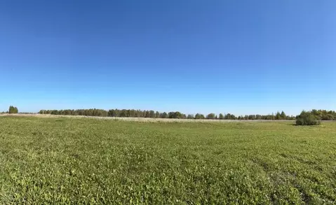 Участок в Томская область, Томский район, д. Петрово Петровская ул. ...