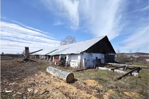 Производственное помещение в Свердловская область, Бисерть пгт ул. ...
